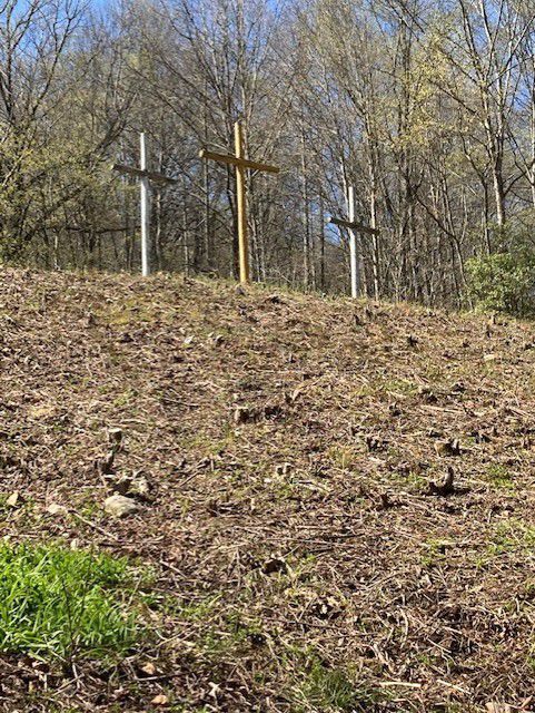 Dwight Williamson: Coffindaffer crosses can be memorials to COVID victims - Vimarsana News