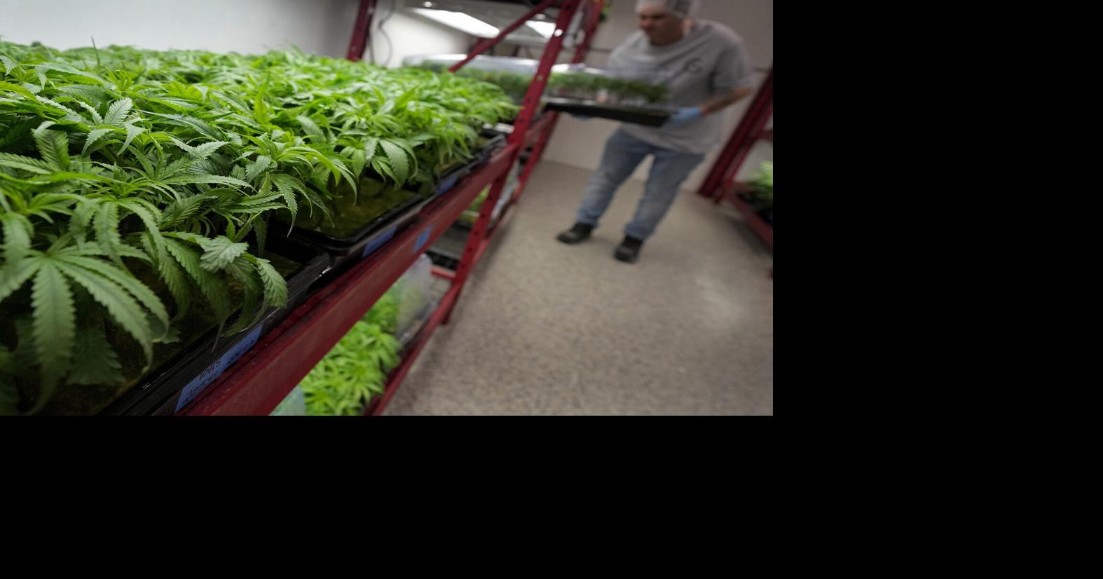 Medical cannabis is legal in WV: Here’s what patients can and can’t do with it