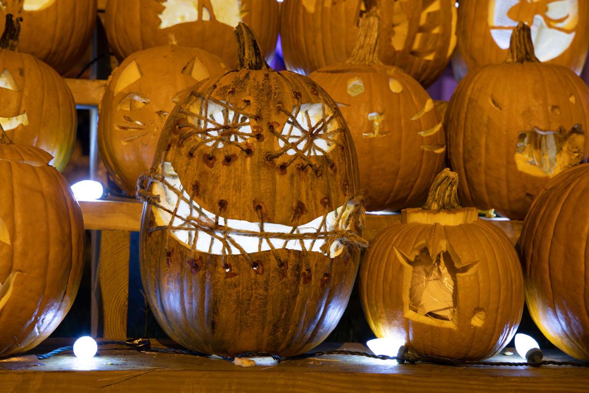 20201028-log-pumpkinhouse-25.jpg