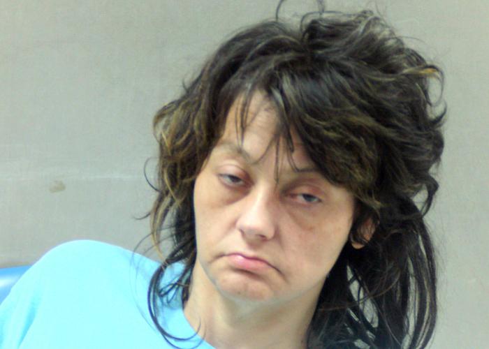 Two charged with operating a drug house in Chapmanville News