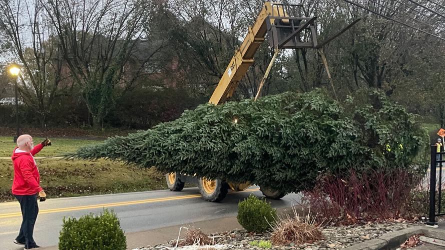 Christmas tree farmer donates Canaan firs to Capitol Complex