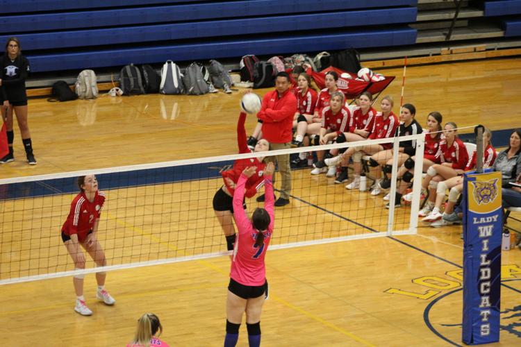 Wildcats Volleyball falls to Mingo, Poca Sports