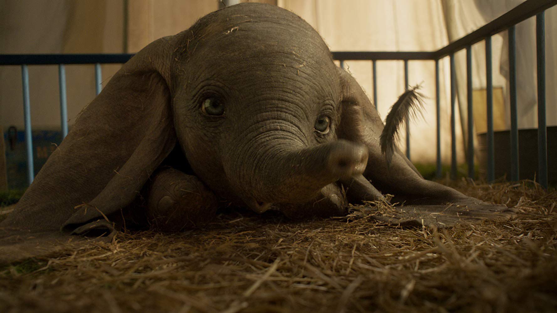 John Gillispie Dumbo brings a classic film to life Features