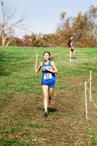 Local XC runners compete in state meet | Sports | loganbanner.com