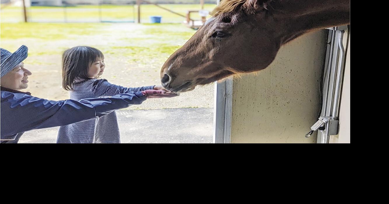 Jasper Ridge Farm offers unique animal experiences for people in need ...