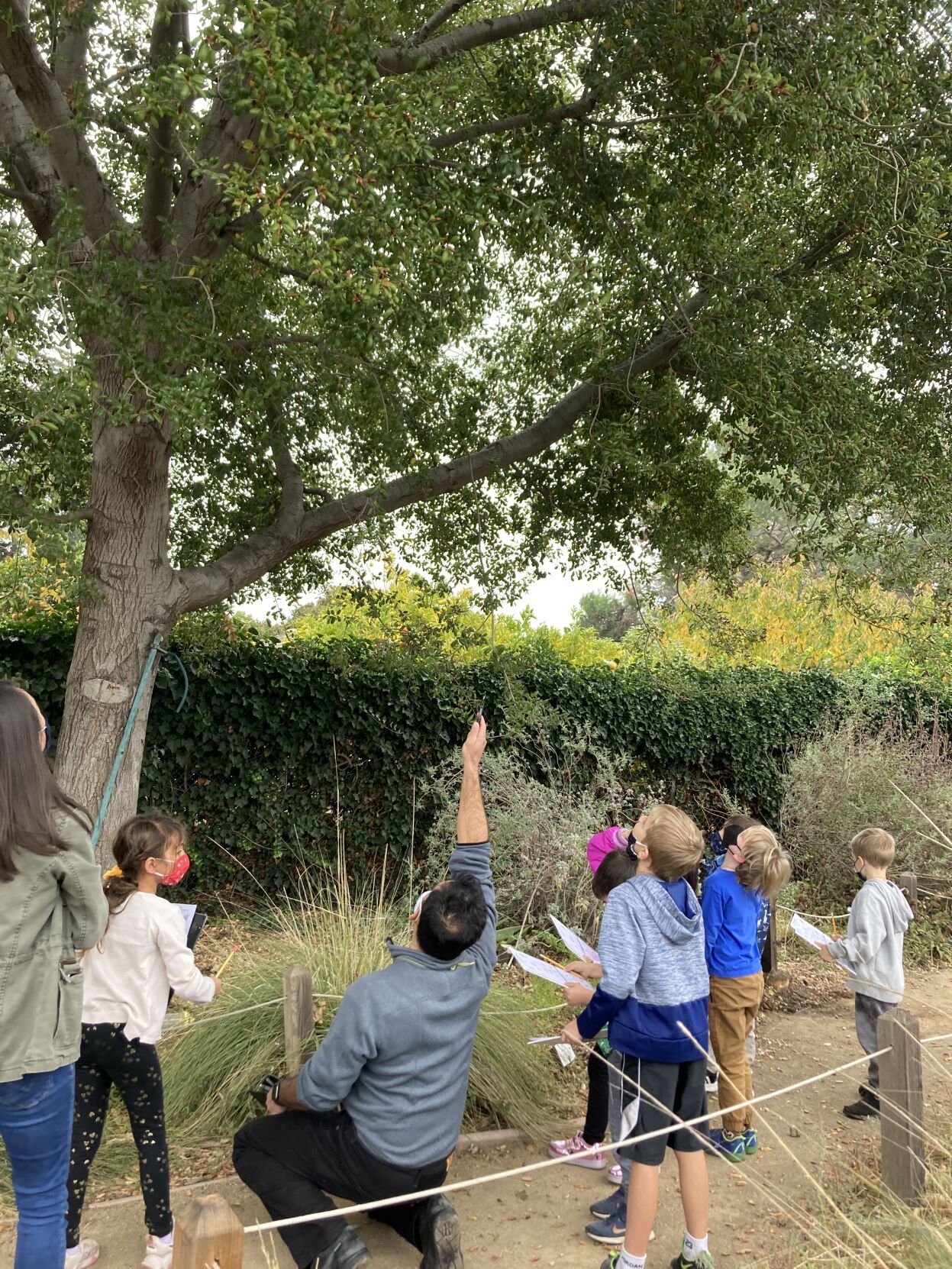 Outdoor education program seeks volunteers for Living Classroom ...