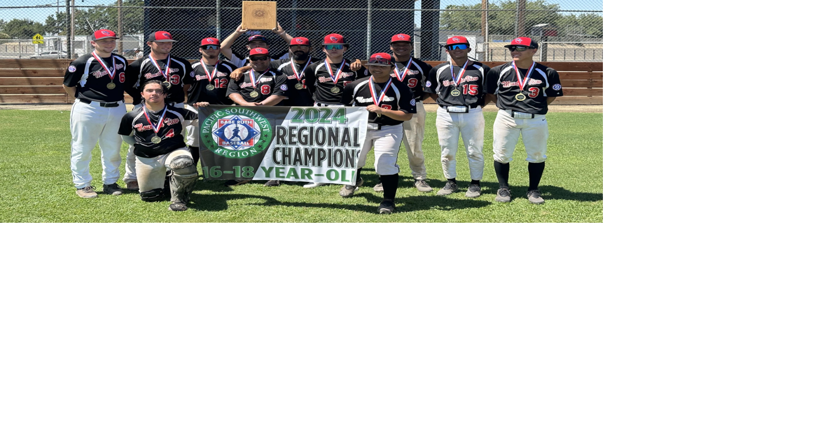 Mountain View Babe Ruth team reaches World Series | Sports ...