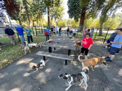Los Altos Dog Park Openings June 2022 - 38 of 56.jpeg