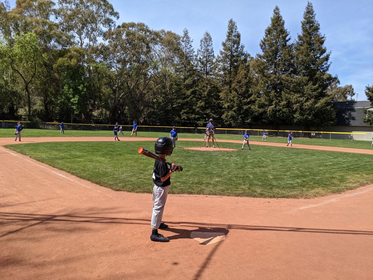 Sunnyvale National Little League