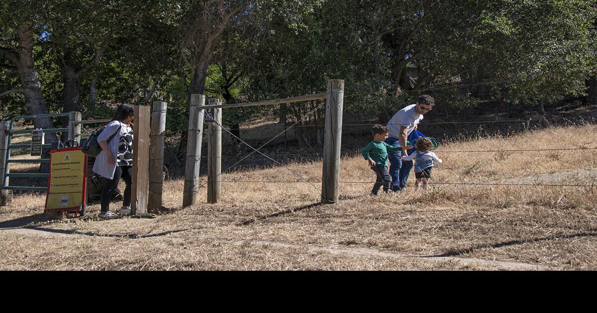 Los Altos Hills residents and leaders seek to tame Byrne ...