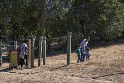 Los Altos Hills residents and leaders seek to tame Byrne ...
