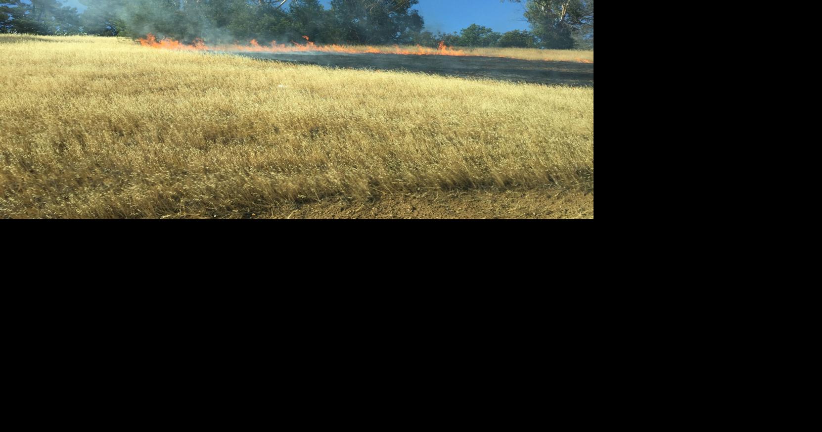 Brush fire contained at Foothill and 280 | News | losaltosonline.com