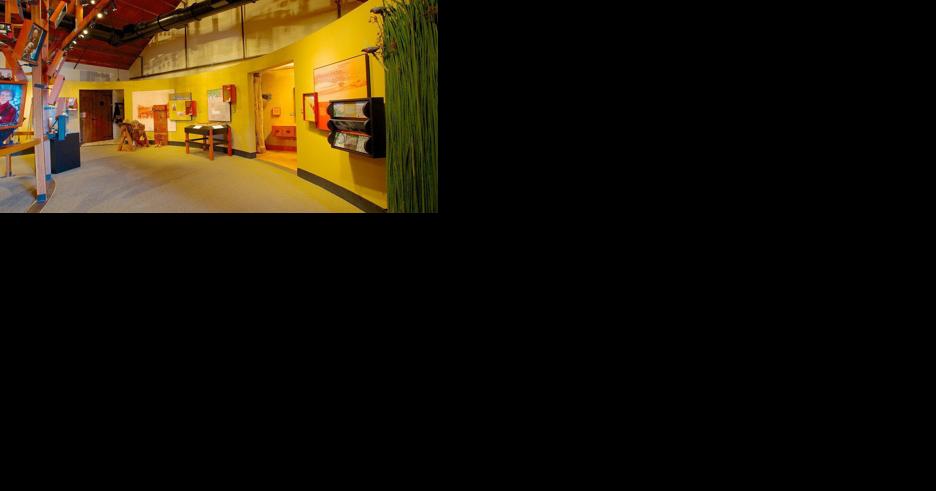 History Museum closes Upper Gallery as ambitious exhibition project begins - Vimarsana News