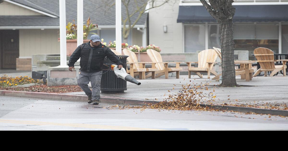 Banned since 1991, gas leaf blowers still bringing the noise in Los