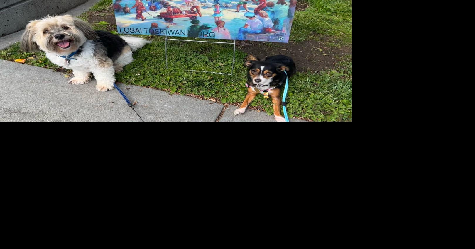 Los Altos Kiwanis Pet Parade celebrates 75 years May 14 Community