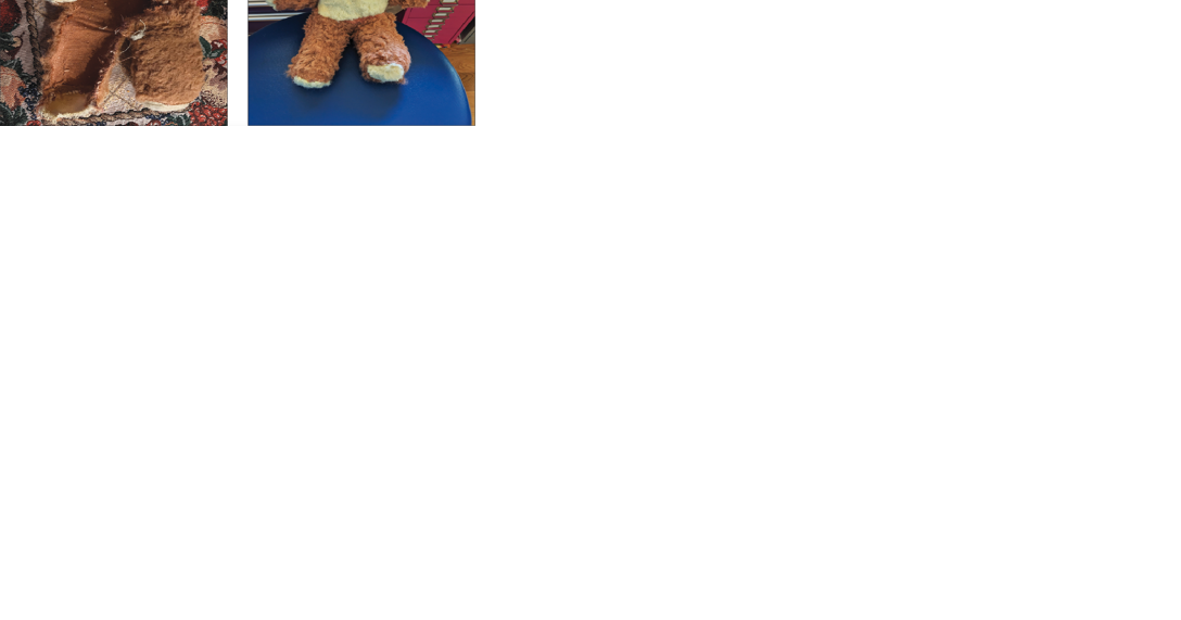 'Doctor Beth' comes to rescue of teddy bears in disrepair | Community - Vimarsana News