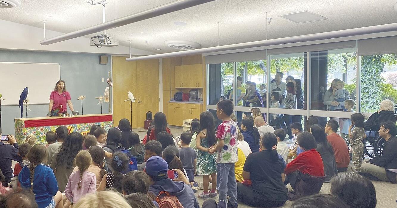LA council green-lights library expansion idea - Vimarsana News