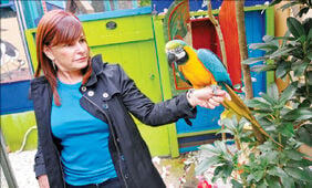 Pandemonium Aviaries fundraises for new home Community