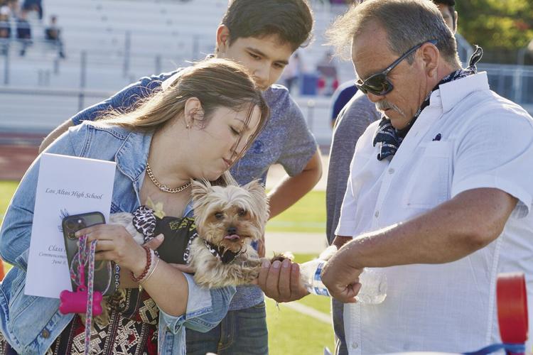 Los Altos High School Class of 2023 | Schools | losaltosonline.com