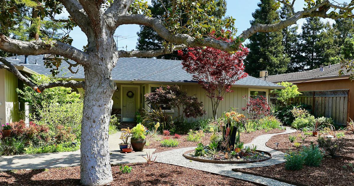Lawn gone: Revitalizing the garden with native plants | Your Home |  losaltosonline.com