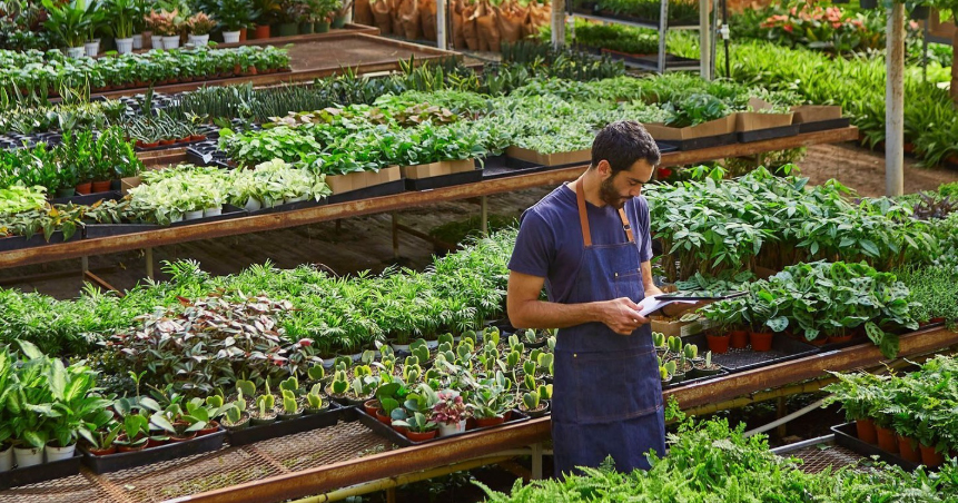 Gen Z turns the houseplant craze into a lifestyle trend