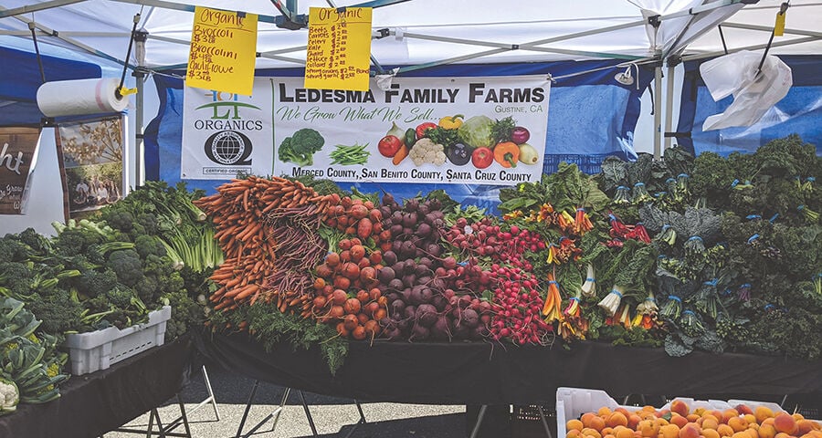 Rival farmers market opens in downtown MV Business