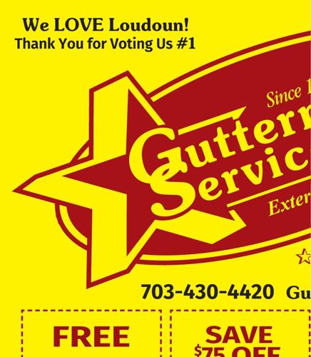 GUTTERMAN SERVICES INC