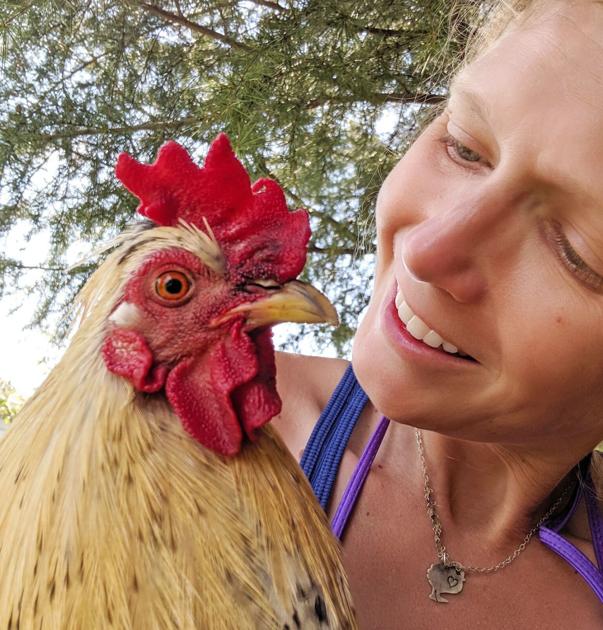 Rutkowski Let Me Tell You About Simon The Rooster Opinion - 