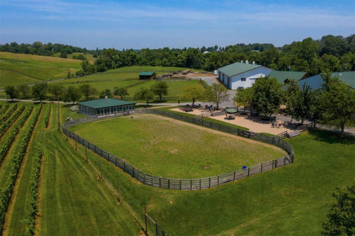 Home Of The Week Otium Cellars At 18050 Tranquility Road Purcellville Business Loudountimes Com