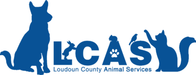 #39 House of horrors #39 : County gets custody of 25 animals found in