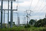 photo_landuse_transmission line-1_20230814.jpg