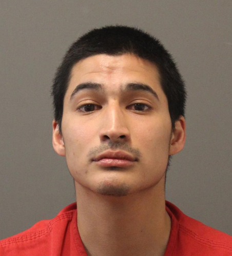Sterling man arrested after fight, allegedly fired gun into air | News ...
