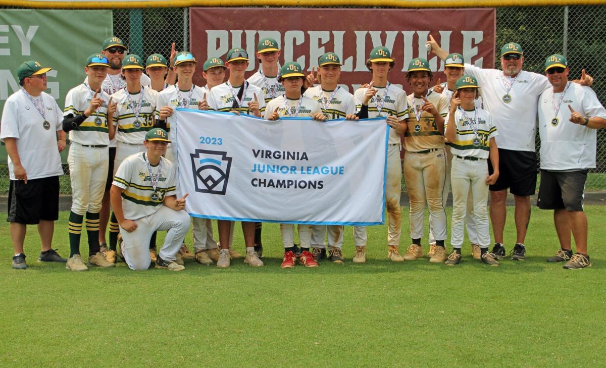 Virginia team eliminated from Little League World Series