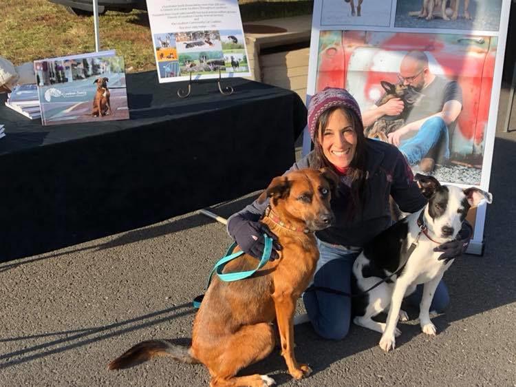 Loudoun County Pet Photographer Raises More Than 26k For Local
