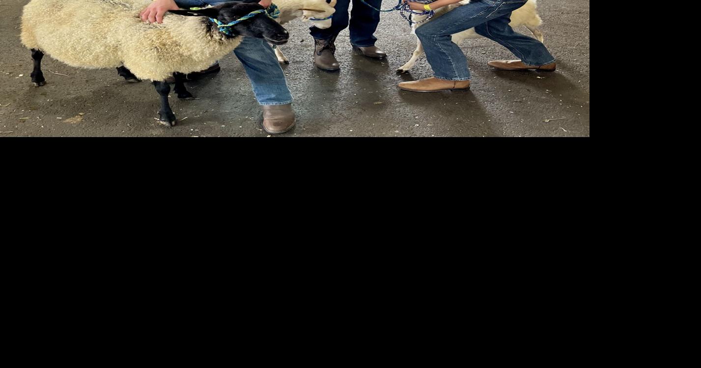 Loudoun County Fair opens Tuesday in Leesburg Entertainment