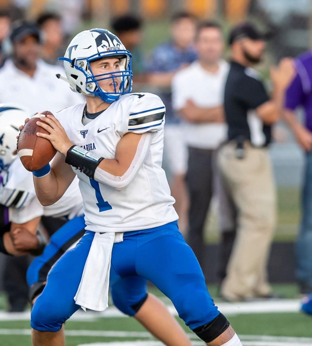 Wise Back To Winning Ways Completes Undefeated Season With