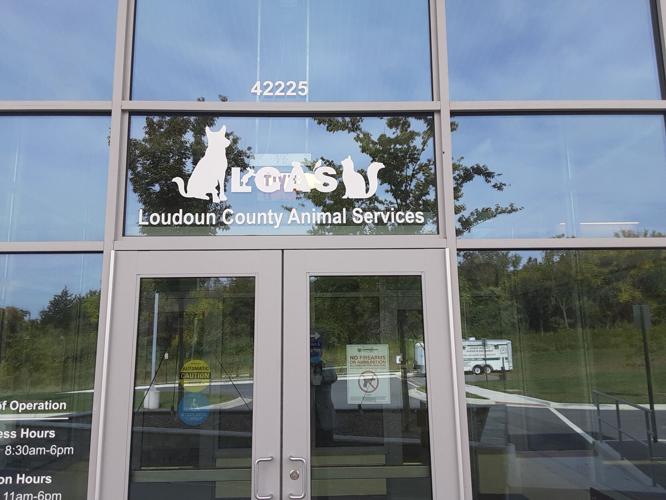 County sues architect over animal shelter conditions | News |  loudountimes.com