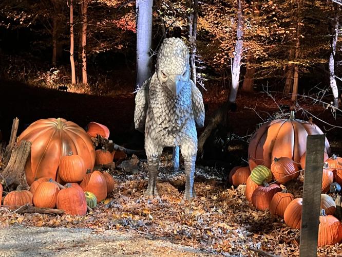 Leesburg's Morven Park hosting Harry Potter Experience through January