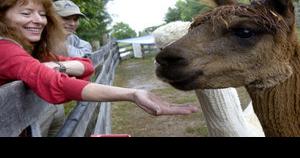 Loudoun Fall Farm Tour adds new bus service for this weekend's event - Vimarsana News