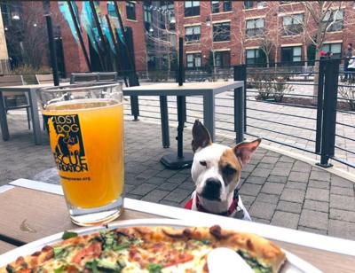 Solace Brewing Releases New Ipa To Support Pet Adoption
