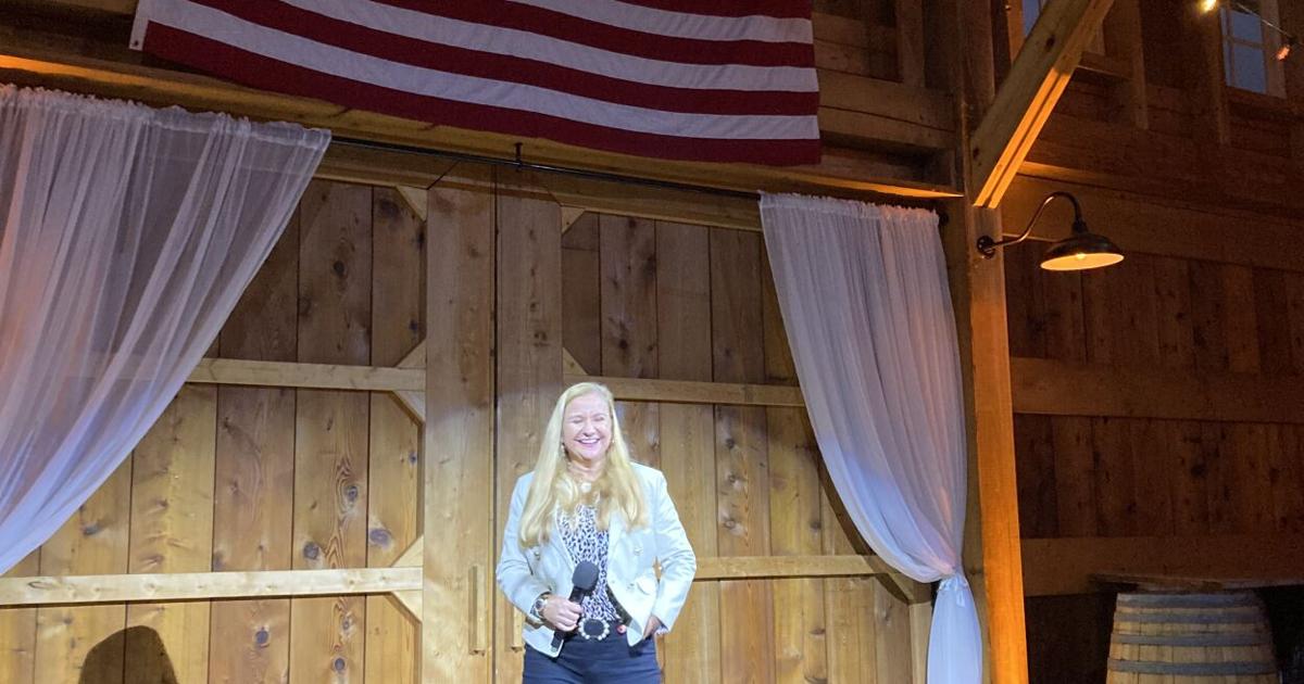 Trump supporters seek 'digital warriors' to combat supposed election fraud in Loudoun