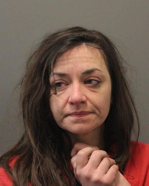 Erica Voorhees mugshot