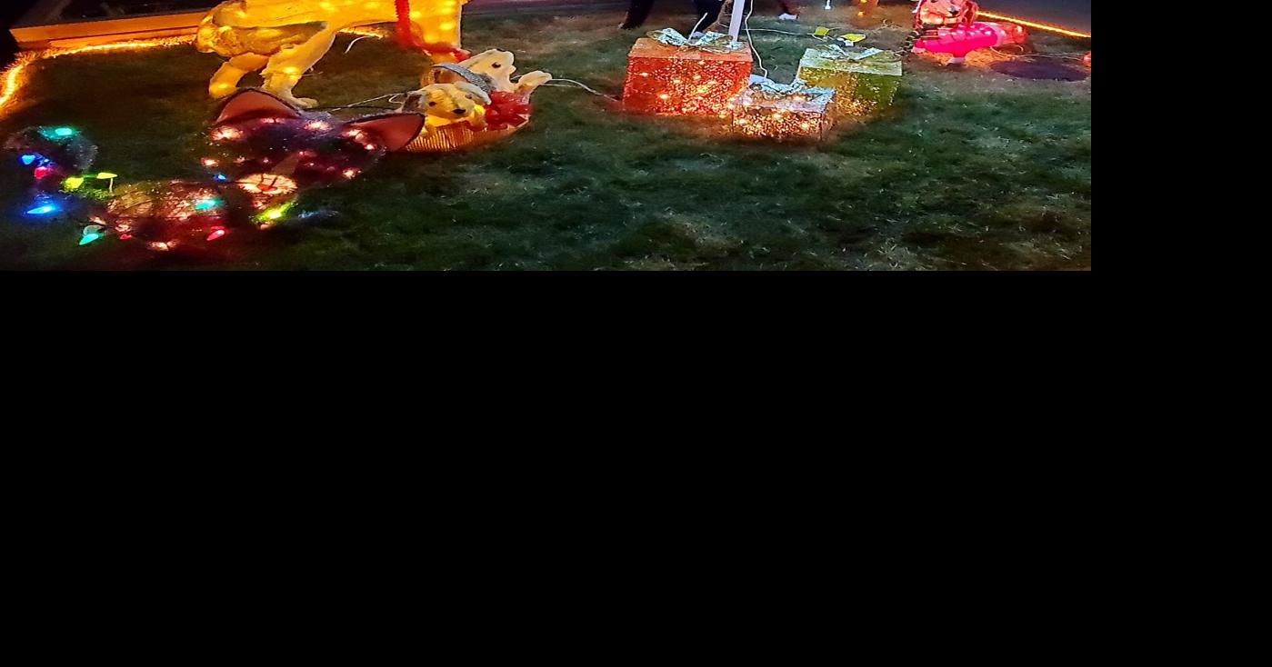 Leesburg neighborhood builds holiday spirit with lights contest