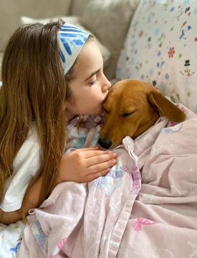 Local Animal Shelter Asks Public To Foster Pets Amid Covid 19