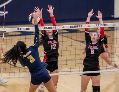 Dulles District Volleyball Team Selections Sports Loudountimes Com