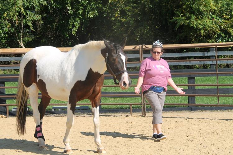 Breast cancer survivors find empowerment at equestrian therapy event in ...