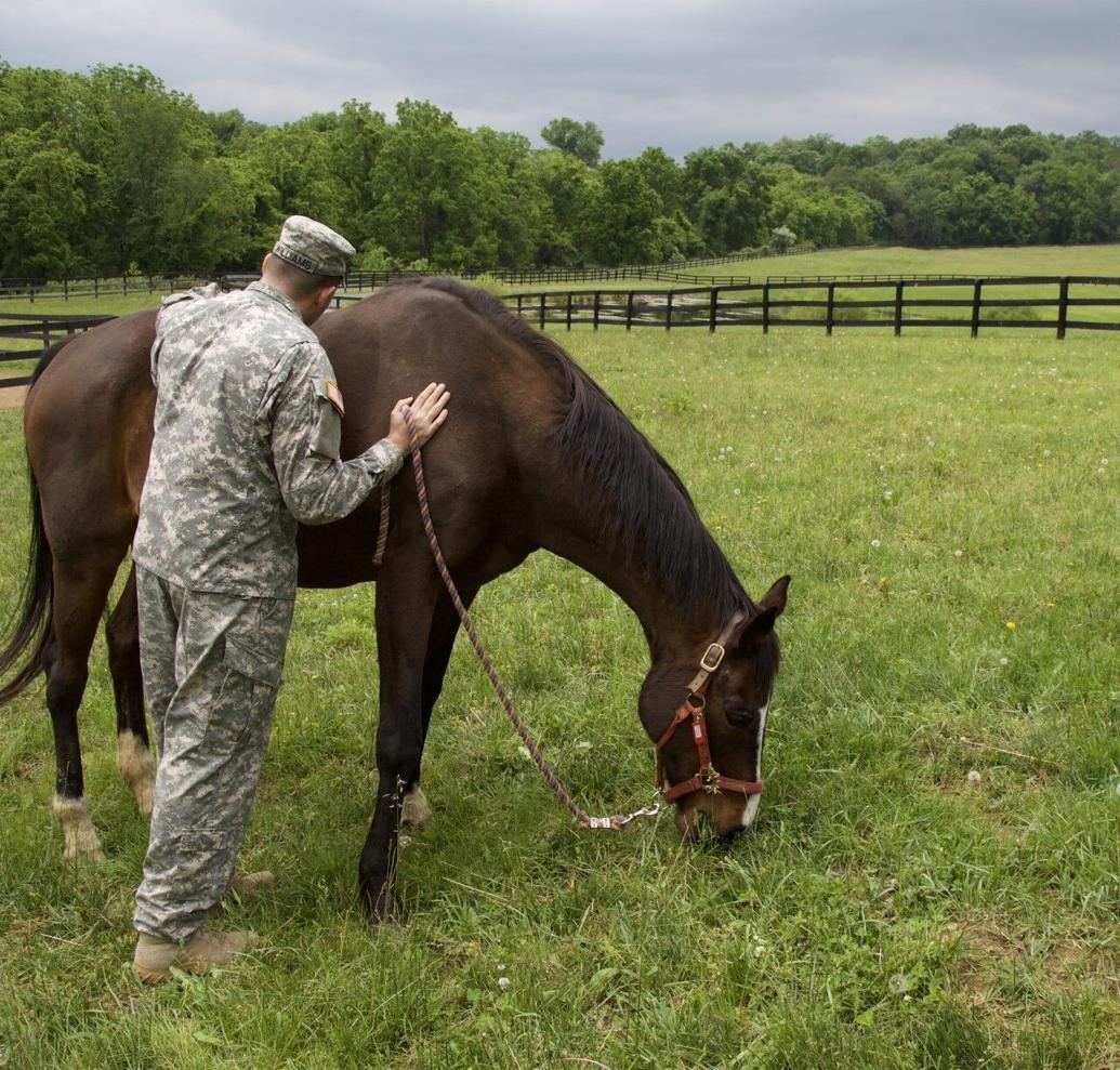 Project Horse's Warrior Herd program helps provide therapy for veterans