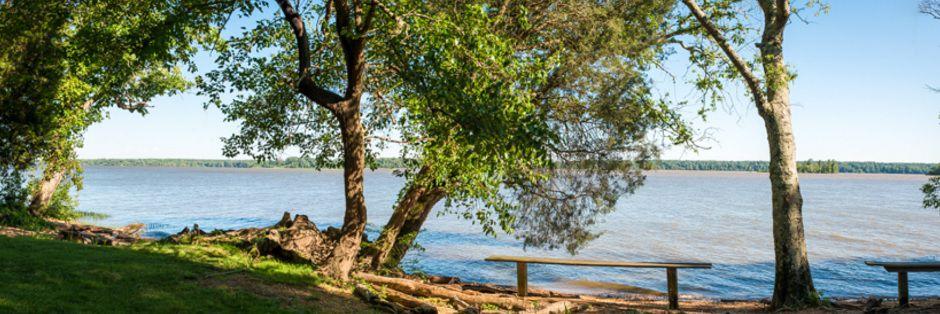 Virginia's first 'thanksgiving' was more fast than feast ...