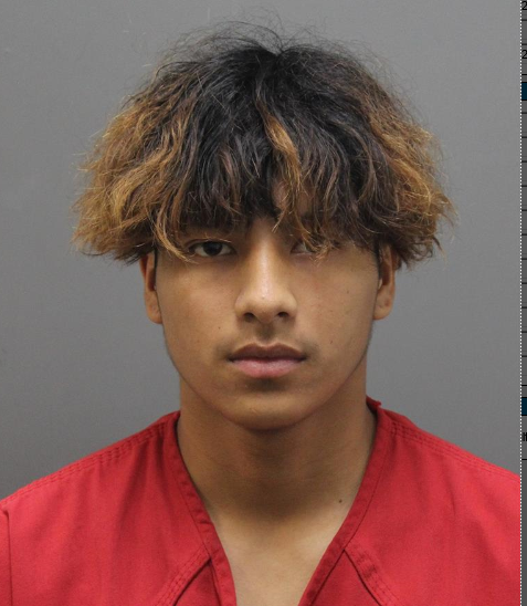 Francisco Elias Castanaza mugshot