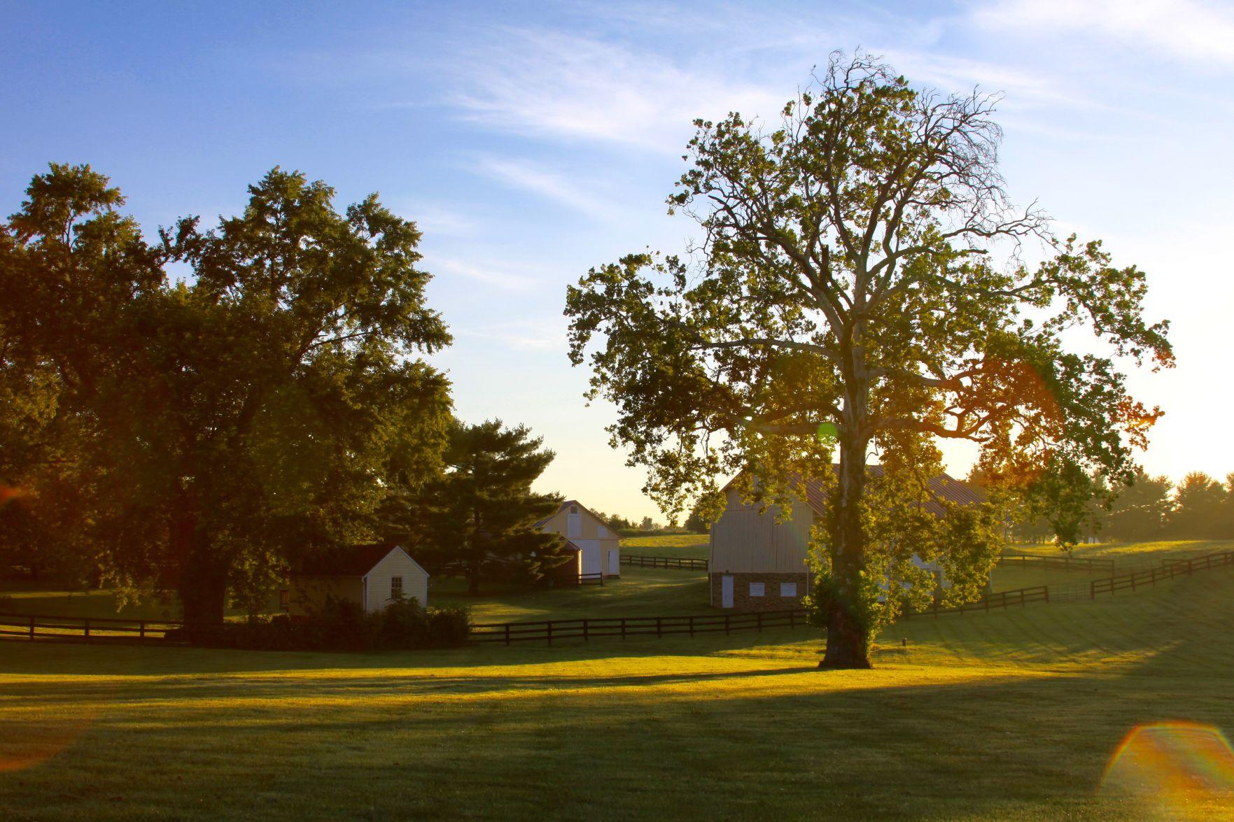 Wheatland Spring Farm + Brewery to open this spring in Waterford